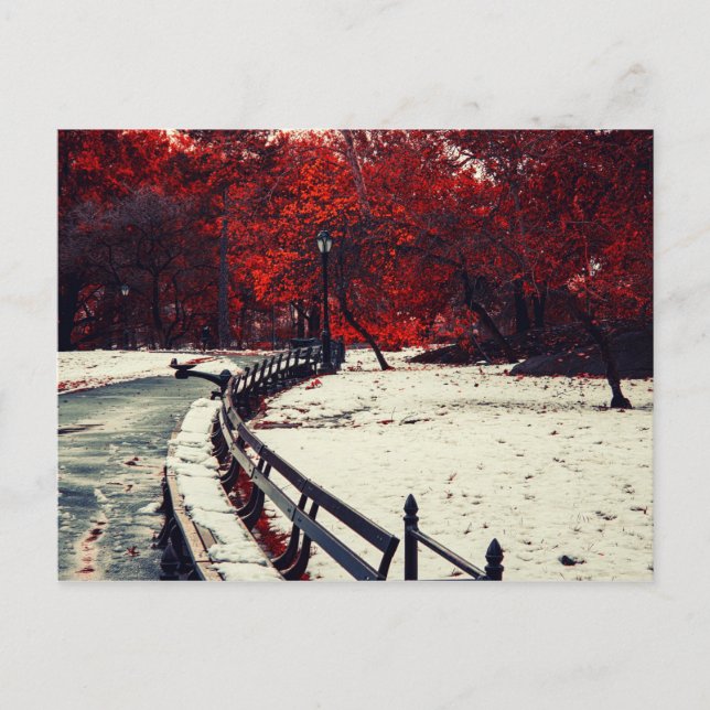 Postal Central Park, NYC (Anverso)