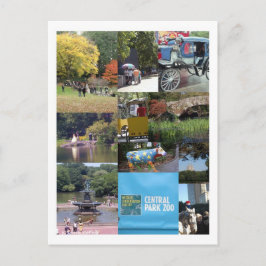 Postal Central Park - Postcard de NYC