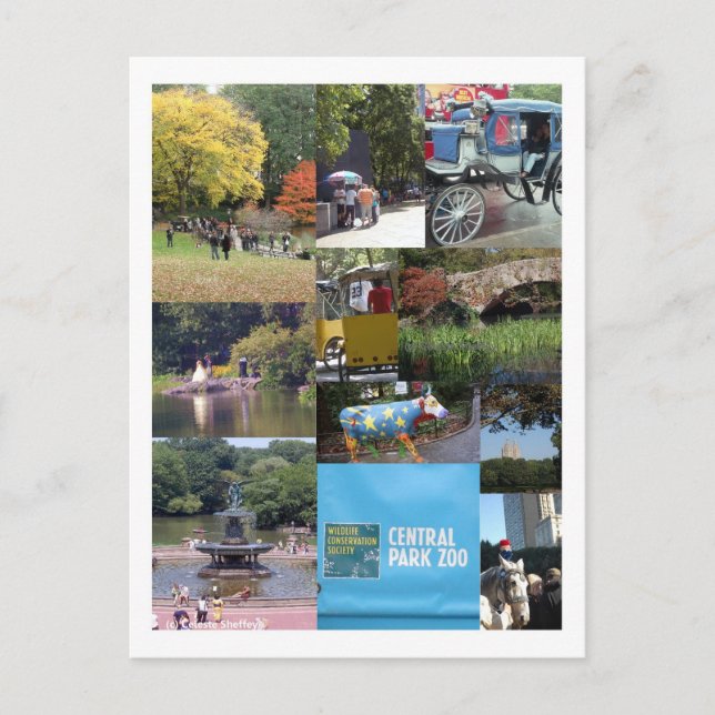 Postal Central Park - Postcard de NYC (Anverso)