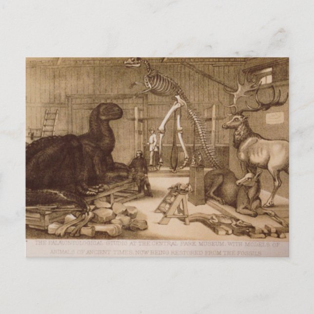 Postal Central Park Studio Benjamin Waterhouse Hawkins (Anverso)