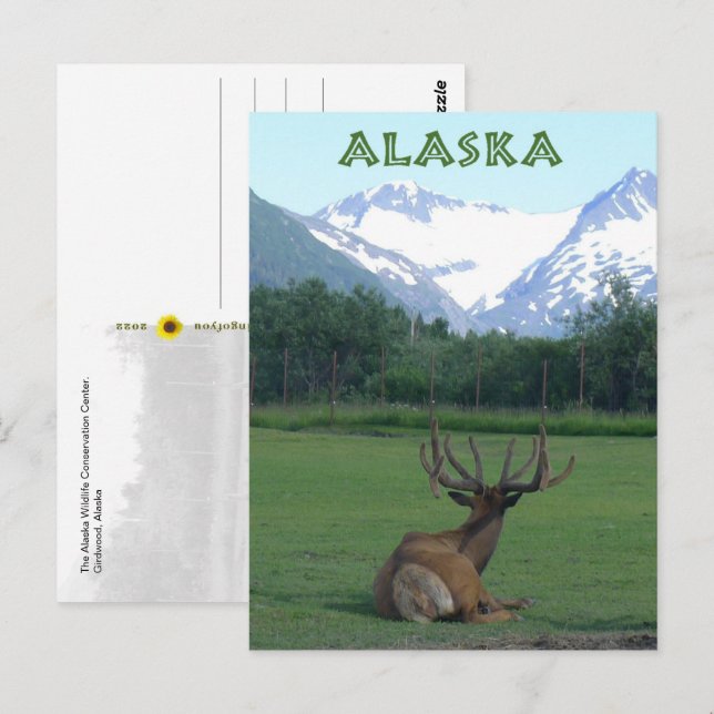 Postal Centro de Conservación de Vida Silvestre de Alaska (Anverso / Reverso)