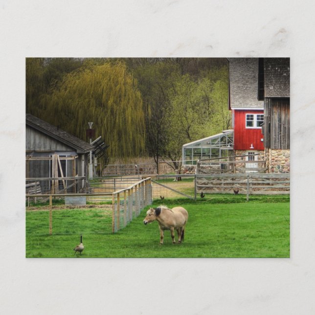 Postal Centro de Naturaleza Dodge (Anverso)