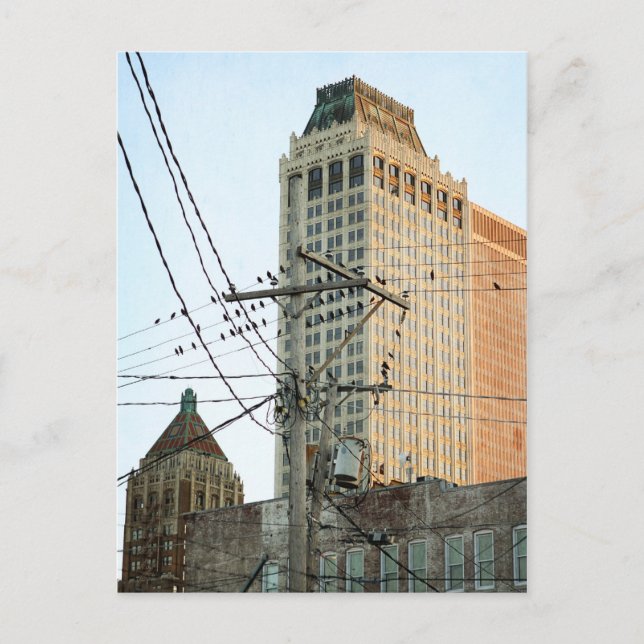 Postal Centro de Tulsa con pájaros (Anverso)