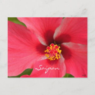 Postal Centro Hibiscus Pink