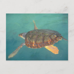 Postal Centroamérica, Panamá, Bocas Del Torro