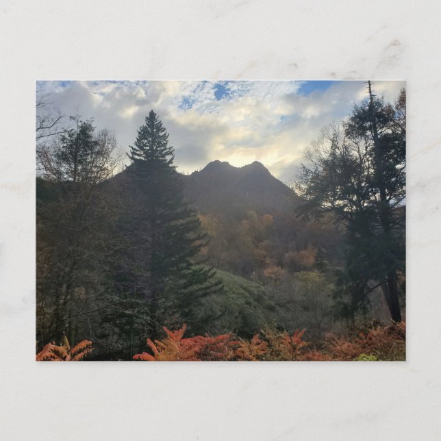 Postal Cepas de chimenea en las montañas Sunset Great Smo (Anverso)