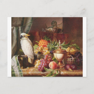 Postal Cepatitis exótica de frutos del Loro Blanco