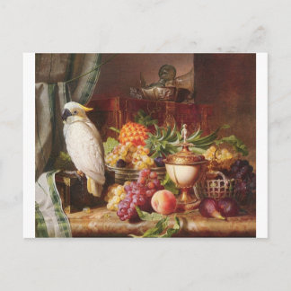 Postal Cepatitis exótica de frutos del Loro Blanco