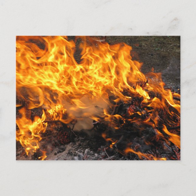 Postal Cepillo de quemado (Anverso)