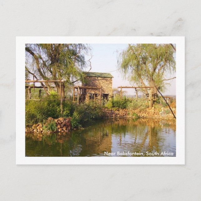 Postal Cerca de Babsfontein, Suráfrica (Anverso)