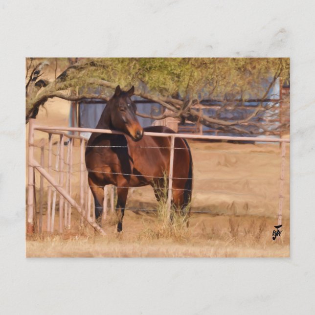 Postal Cercado (Anverso)