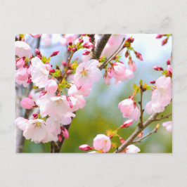 Postal Cercanías en flor
