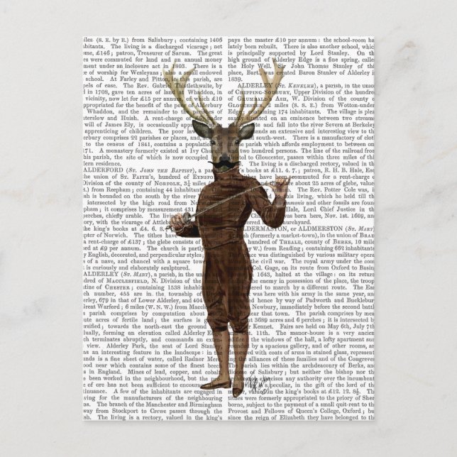 Postal Cercar al venado lleno (Anverso)