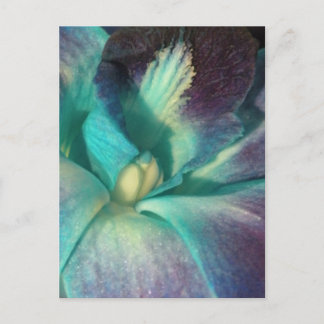 Postal Cerco de orquídeas azul y púrpura