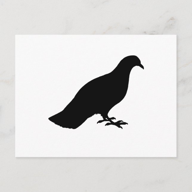 Postal Cerdo (Anverso)
