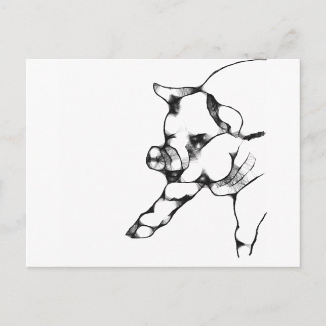 Postal cerdo (Anverso)