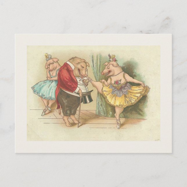 Postal Cerdo ballet (Anverso)