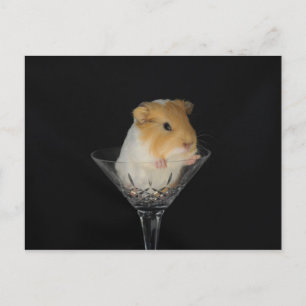 Postal Cerdo de Guinea en una copa de vino