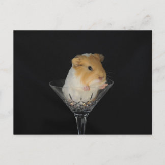 Postal Cerdo de Guinea en una copa de vino