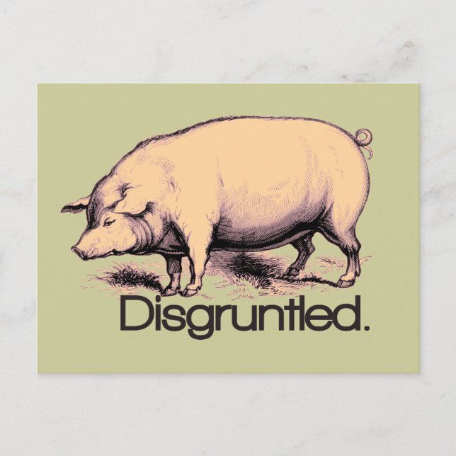 Postal Cerdo disgustado (Anverso)