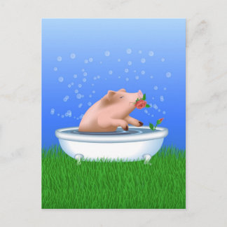 Postal Cerdo en baño