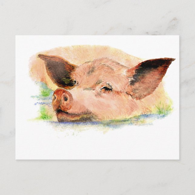 Postal Cerdo feliz en barro, animal de granja, humor (Anverso)