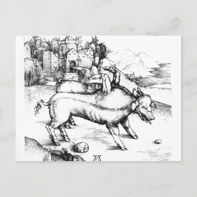 Postal Cerdo monstruoso (Anverso)