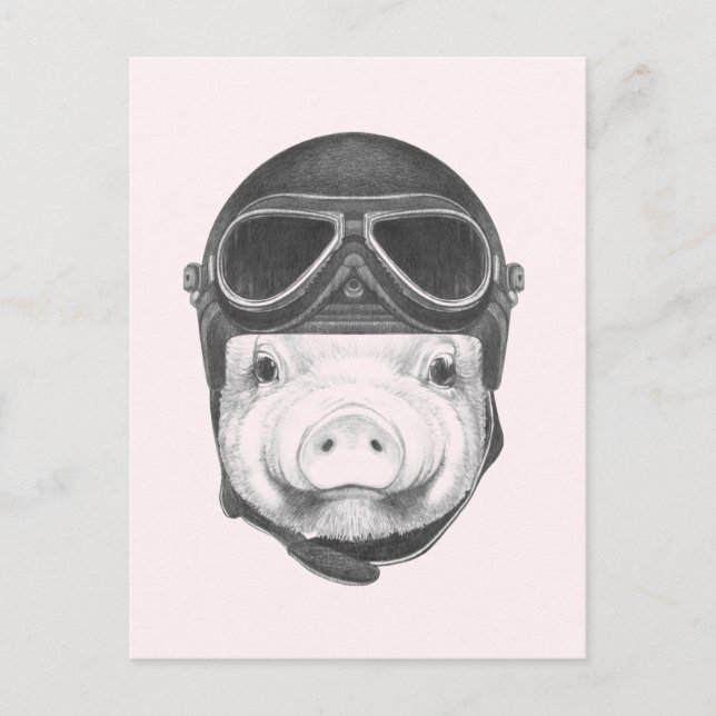 Postal Cerdo oscuro (Anverso)