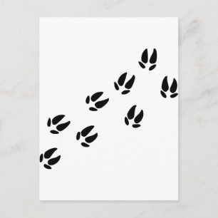 Postal Cerdo - Pistas