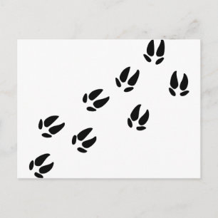 Postal Cerdo - Pistas