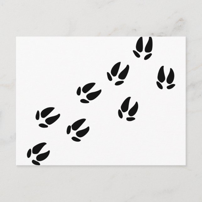 Postal Cerdo - Pistas (Anverso)