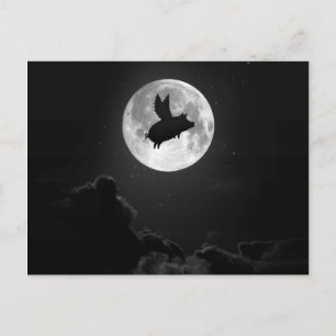 Postal cerdo volador nocturno