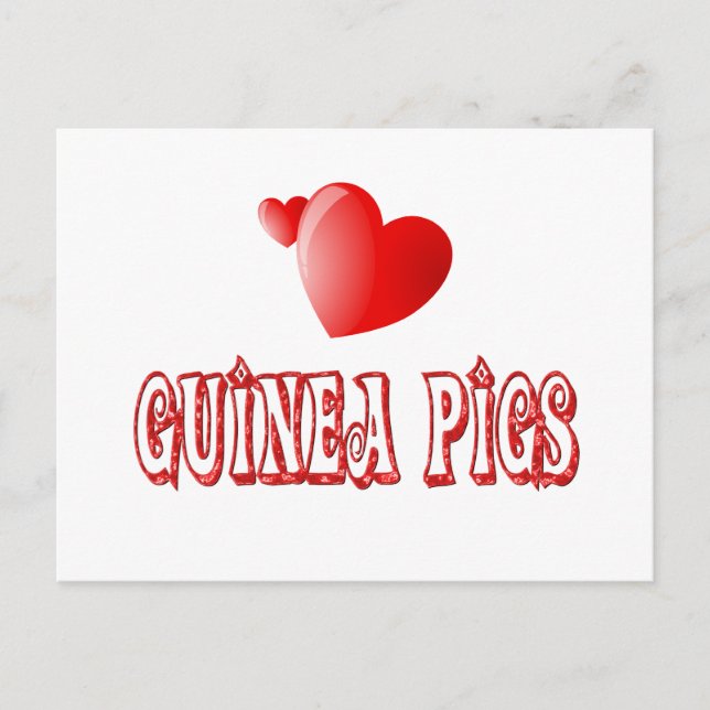 Postal Cerdos de Guinea (Anverso)