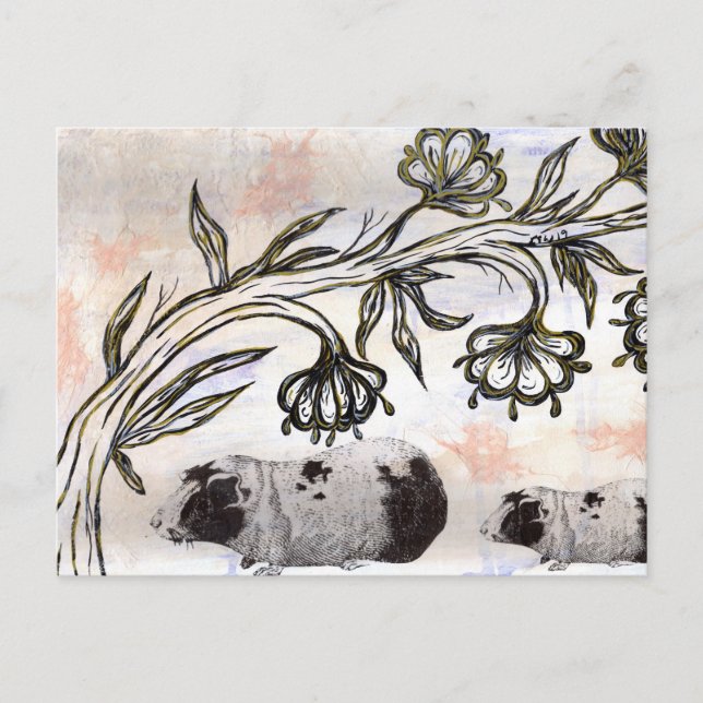 Postal Cerdos de Guinea (Anverso)