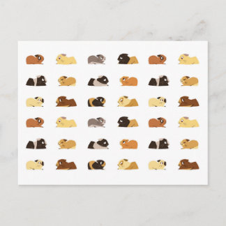 Postal Cerdos de Guinea