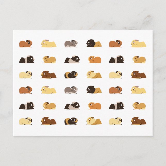 Postal Cerdos de Guinea (Anverso)