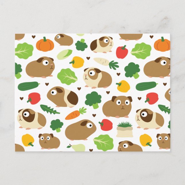 Postal Cerdos de Guinea y sus tratamientos (Anverso)