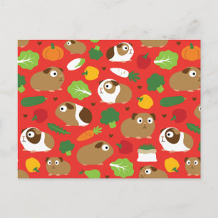 Postal Cerdos de Guinea y sus tratamientos