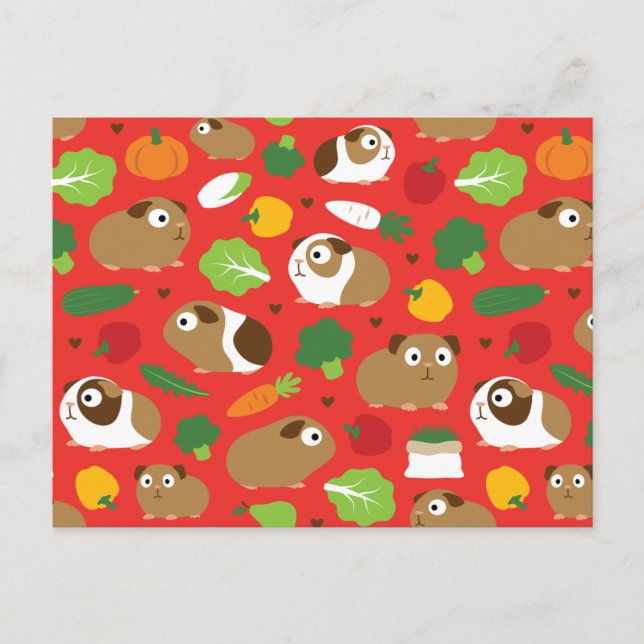 Postal Cerdos de Guinea y sus tratamientos (Anverso)