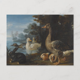 Postal Cerdos de Guinea y un conejo en un paraje de mader