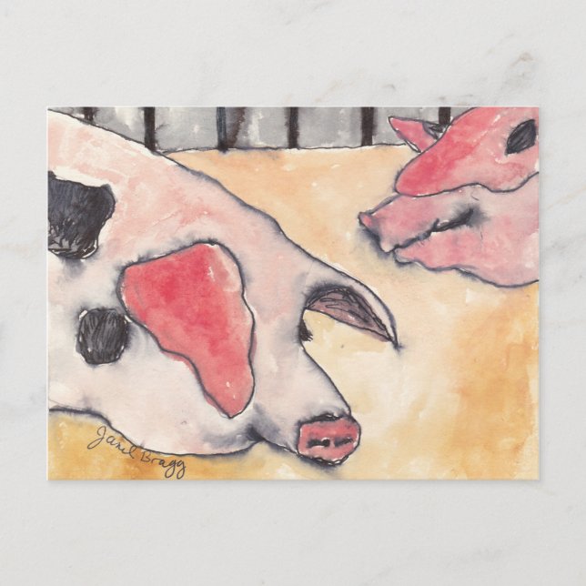 Postal Cerdos en la Feria del Condado (Anverso)