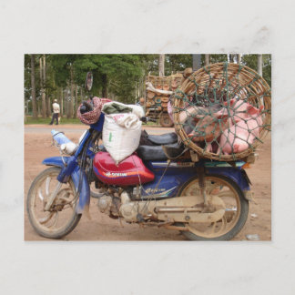 Postal Cerdos en motocicleta-Camboya
