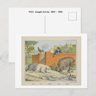 Postal CERDOS Joseph Scholz, 1829 - 1880