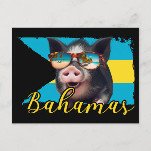Postal Cerdos nadadores de las Bahamas - Aventura en la p