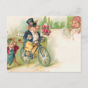 Postal Cerdos románticos