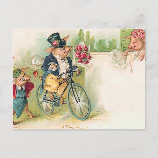 Postal Cerdos románticos (Anverso)