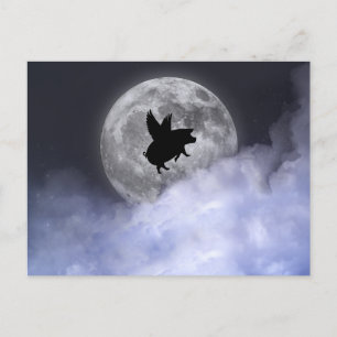 Postal Cerdos voladores nocturnos