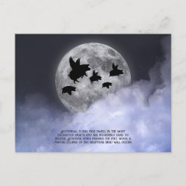 Postal Cerdos voladores nocturnos