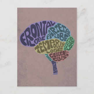 Postal cerebral