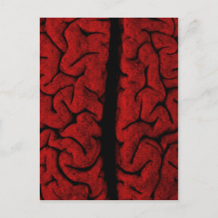 Postal cerebral vintage